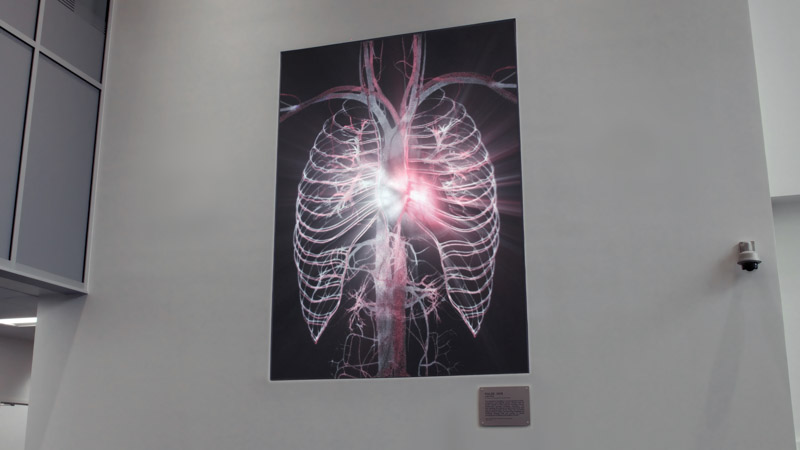 An image of PULSE, an installation by Adam Frank located in the Health Science Center at Texas Tech University in Lubbock, Texas.