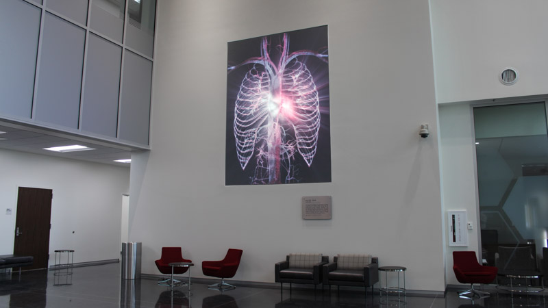 An image of PULSE, an installation by Adam Frank located in the Health Science Center at Texas Tech University in Lubbock, Texas.